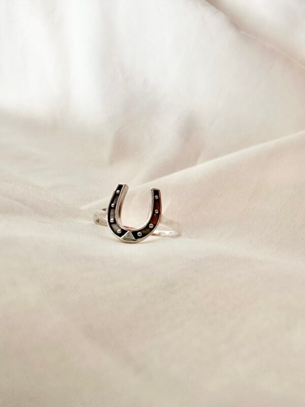 Anillo Herradura